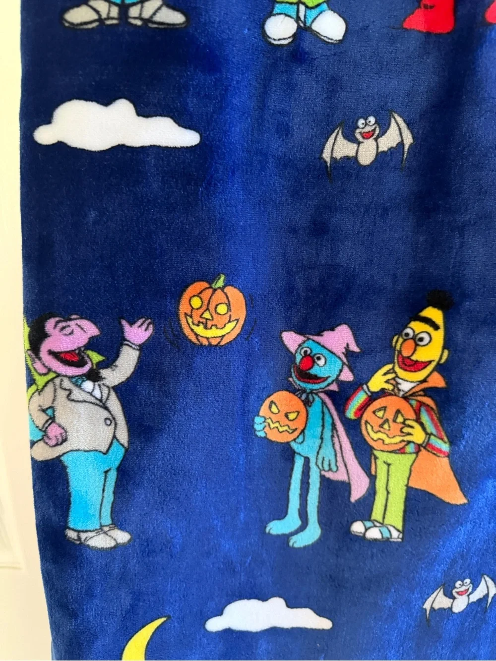 New Sesame Street Plush Throw Blanket Halloween Cookie Monster Elmo 50 x 70 Blue